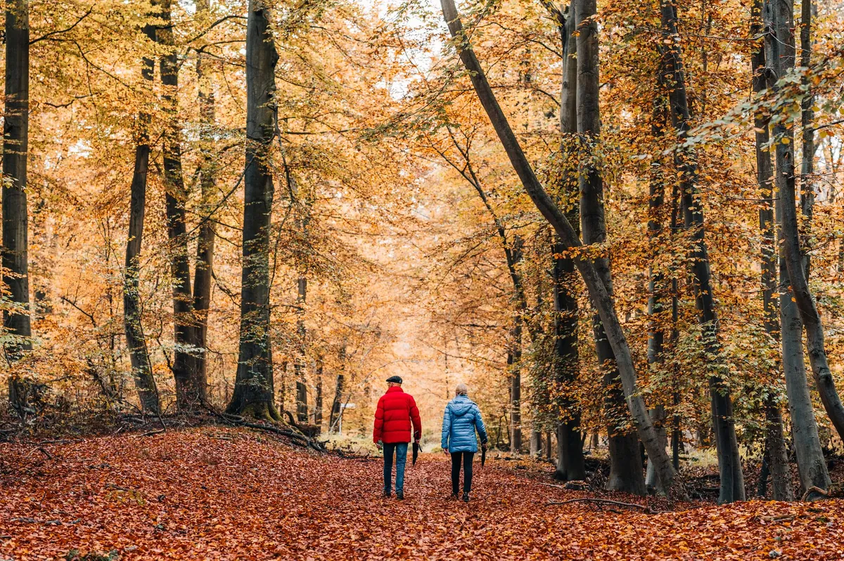 Stel wandelt samen over een bospad vol herfstbladeren