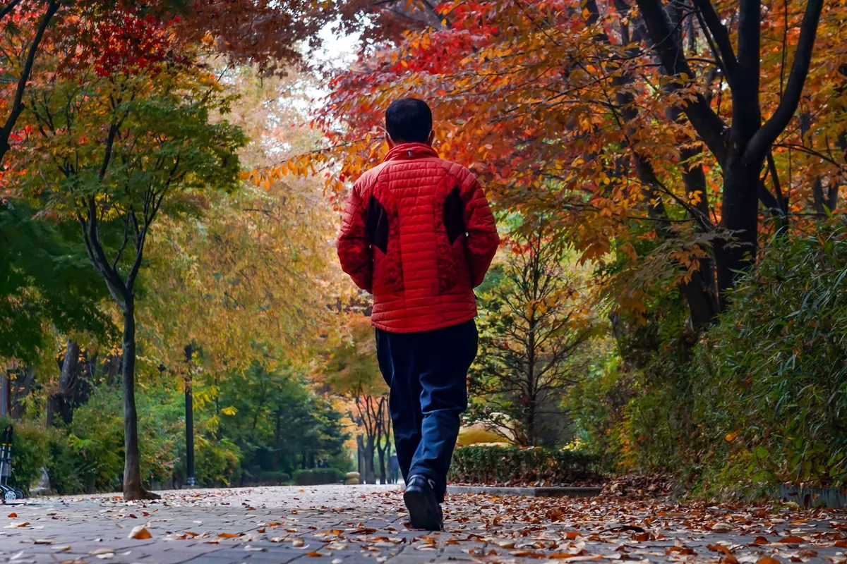 Man in rode jas wandelt over een pad tussen herfstbomen